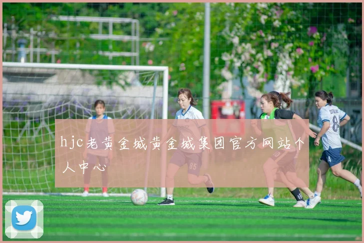 hjc老黄金城黄金城集团官方网站个人中心